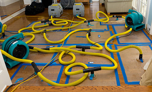 Professional Sewage Cleanup technician working in Saugatuck, CT